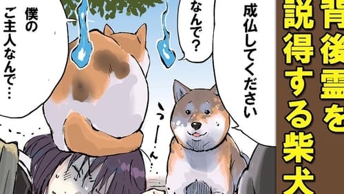 Sekai no Owari ni Shiba Inu to Season 1 EP 14